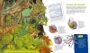 Buchcover und Innenansicht für das Buch: WAS IST WAS Kids Supertiere. Rekordhalter an Land, in der Luft und im Wasser