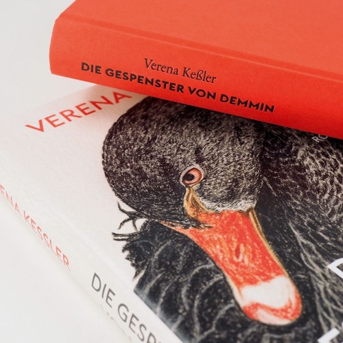 Buchcover und Innenansicht für das Buch: Die Gespenster von Demmin