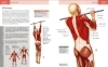 Buchcover und Innenansicht für das Buch: Das Anatomie-Buch der Fitness