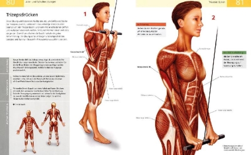 Buchcover und Innenansicht für das Buch: Das Anatomie-Buch der Fitness