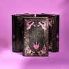 Buchcover und Innenansicht für das Buch: Terror at the Gates