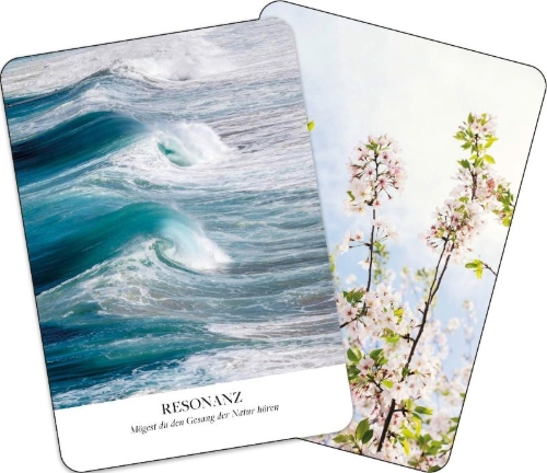 Buchcover und Innenansicht für das Buch: Earth Blessings Oracle Cards: Connect With the Healing Power of Nature a 48 Card Deck With Guidebook