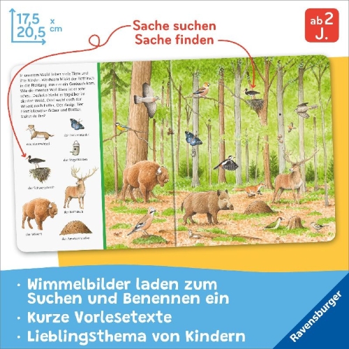 Buchcover und Innenansicht für das Buch: Sachen suchen: Tiere im Wald