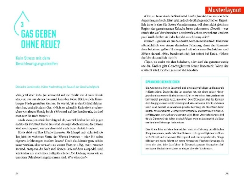 Buchcover und Innenansicht für das Buch: Fettnäpfchenführer Niederlande