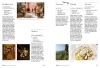 Buchcover und Innenansicht für das Buch: Genießen in Istrien