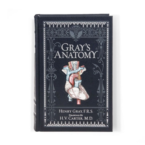 Buchcover und Innenansicht für das Buch: Gray's Anatomy (Barnes & Noble Collectible Classics: Omnibus Edition)