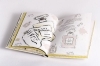 Buchcover und Innenansicht für das Buch: Coco Chanel. The Illustrated World of a Fashion Icon