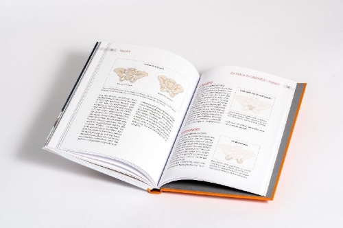 Buchcover und Innenansicht für das Buch: Beckenbodentraining mit Tigerfeeling