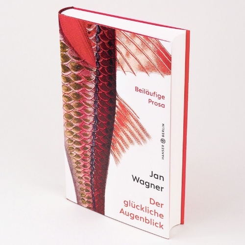Buchcover und Innenansicht für das Buch: Der glückliche Augenblick