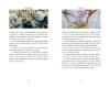 Buchcover und Innenansicht für das Buch: Kunstmomente