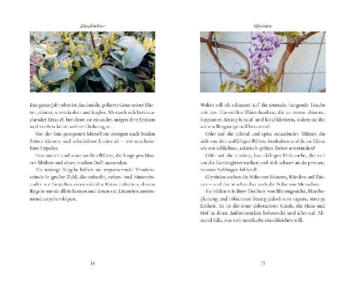 Buchcover und Innenansicht für das Buch: Kunstmomente
