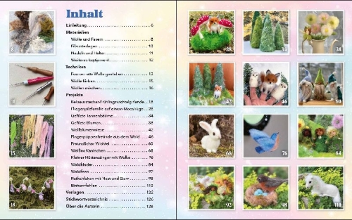 Buchcover und Innenansicht für das Buch: Fantastisches Nadelfilzen
