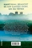 Buchcover und Innenansicht für das Buch: Death At The White Hart