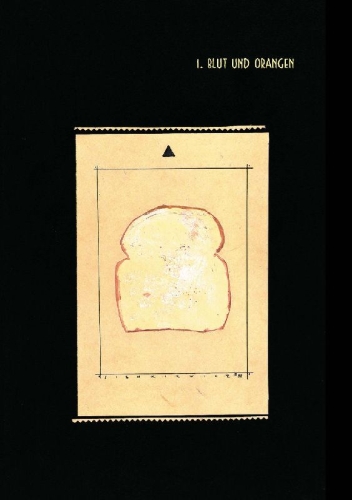 Buchcover und Innenansicht für das Buch: Stray Toasters