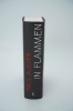 Buchcover und Innenansicht für das Buch: Burning Boy