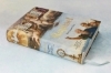 Buchcover und Innenansicht für das Buch: Raffael