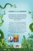 Buchcover und Innenansicht für das Buch: Der Zauberschüler (Band 7) - Die verschwundene Waldfee
