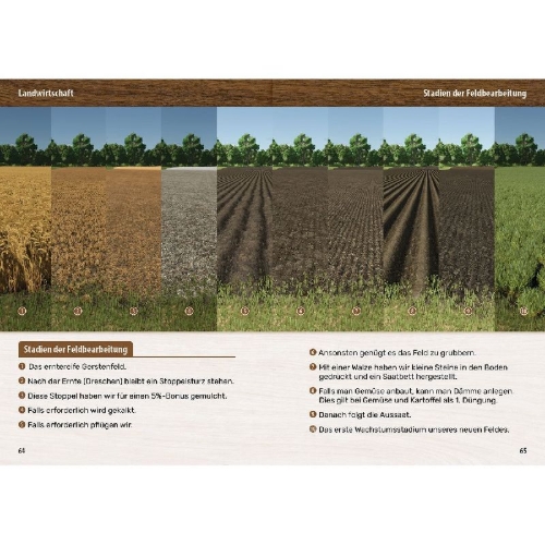 Buchcover und Innenansicht für das Buch: Landwirtschaftssimulator 25 - Der inoffizielle Guide