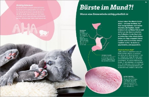 Buchcover und Innenansicht für das Buch: WAS IST WAS Katzen. Eigenwillige Schnurrer