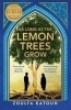 Buchcover und Innenansicht für das Buch: As Long As the Lemon Trees Grow