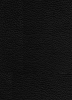 Buchcover und Innenansicht für das Buch: Berserk Master Edition 04
