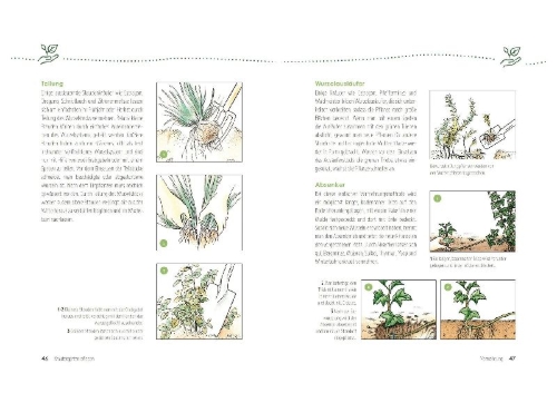 Buchcover und Innenansicht für das Buch: Kräutergärten anlegen und pflegen. Biologisch gärtnern und genießen
