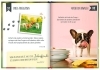 Buchcover und Innenansicht für das Buch: 100 Dinge, die man von einem Hund lernen kann