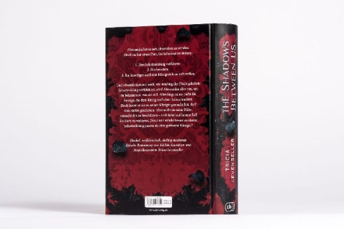 Buchcover und Innenansicht für das Buch: The Shadows Between Us