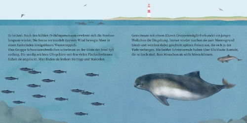 Buchcover und Innenansicht für das Buch: LESEMAUS 135: Der kleine Wal und das Meer