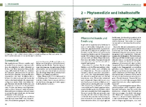 Buchcover und Innenansicht für das Buch: Pflanzliche Notnahrung