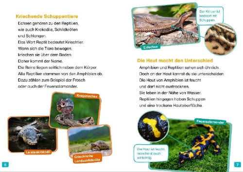 Buchcover und Innenansicht für das Buch: WAS IST WAS Erstes Lesen. Echsen