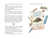 Buchcover und Innenansicht für das Buch: Die wilden Pfifferlinge - Schildkrötenalarm