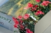 Buchcover und Innenansicht für das Buch: Zeiten des Umbruchs