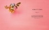 Buchcover und Innenansicht für das Buch: Love kitchen