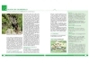 Buchcover und Innenansicht für das Buch: Wandertouren für Senioren. 44 Routen zwischen Berchtesgaden & Füssen plus Routen für Rollstuhl und Rollator. Auch für Kinderwagen geeignet.