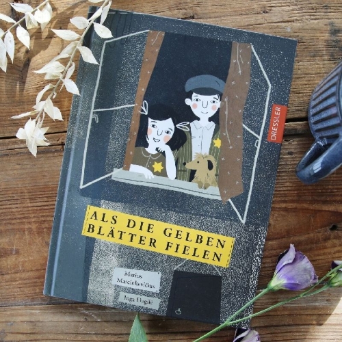 Buchcover und Innenansicht für das Buch: Akmenelis