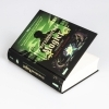 Buchcover und Innenansicht für das Buch: Disney. Twisted Tales: Der verzaubernde Magier (Tiana aus 'Küss den Frosch')