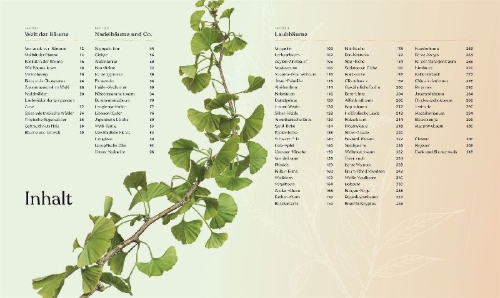Buchcover und Innenansicht für das Buch: Bäume - Eine Natur- und Kulturgeschichte