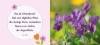 Buchcover und Innenansicht für das Buch: Gute Gedanken für jeden Tag