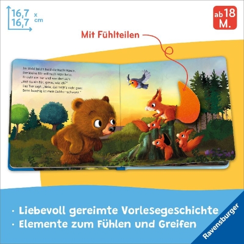 Buchcover und Innenansicht für das Buch: Mein erstes Vorlese-Fühlbuch - Bist du ein Bär?