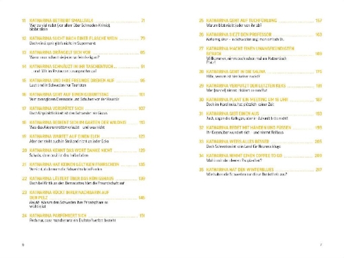 Buchcover und Innenansicht für das Buch: Fettnäpfchenführer Schweden