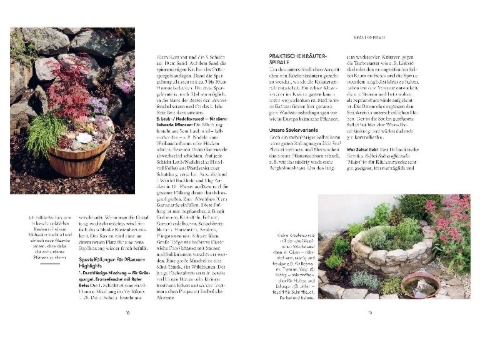 Buchcover und Innenansicht für das Buch: Viel Garten auf wenig Platz! Profi-Tipps für Problemzonen und kleine Flächen im Garten