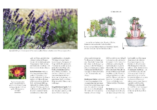 Buchcover und Innenansicht für das Buch: Viel Garten auf wenig Platz! Profi-Tipps für Problemzonen und kleine Flächen im Garten