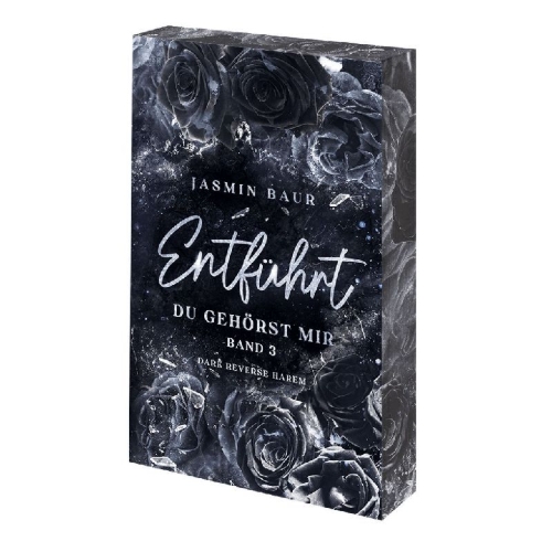 Buchcover und Innenansicht für das Buch: Entführt