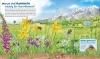 Buchcover und Innenansicht für das Buch: WAS IST WAS Junior Band 34 Bienen, Wespen, Hummeln