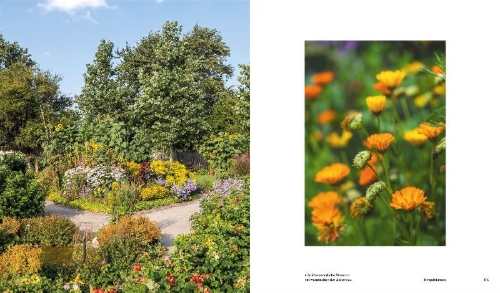 Buchcover und Innenansicht für das Buch: Der Garten von Ada und Emil Nolde