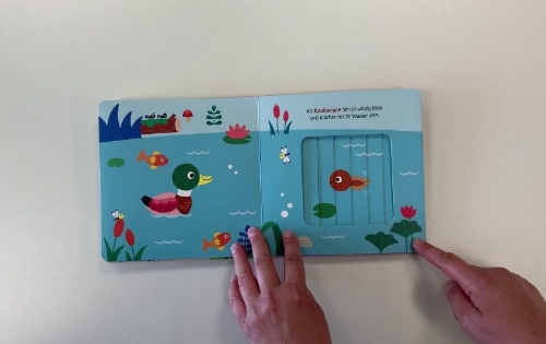 Buchcover und Innenansicht für das Buch: Wenn ich gross bin, seh ich anders aus - Blätter um und find´s heraus!