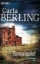 Buchcover und Innenansicht für das Buch: Tunnelspiel