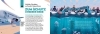 Buchcover und Innenansicht für das Buch: Surfen