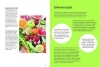 Buchcover und Innenansicht für das Buch: Feel Good With Food